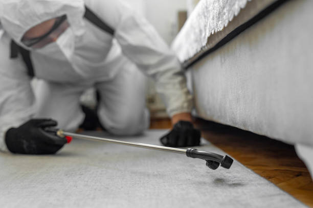 Professional Ant Control technician working in Orangetree, FL